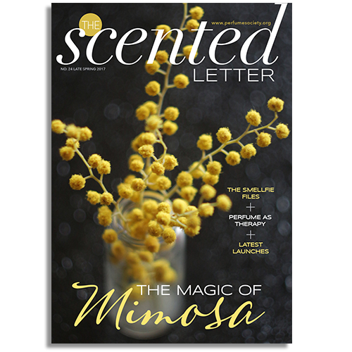 The Scented Letter ‘The Magic of Mimosa’ (Print Edition)